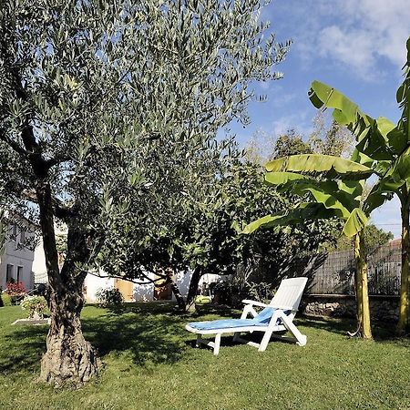 Apartment Vita Poreč Exteriör bild